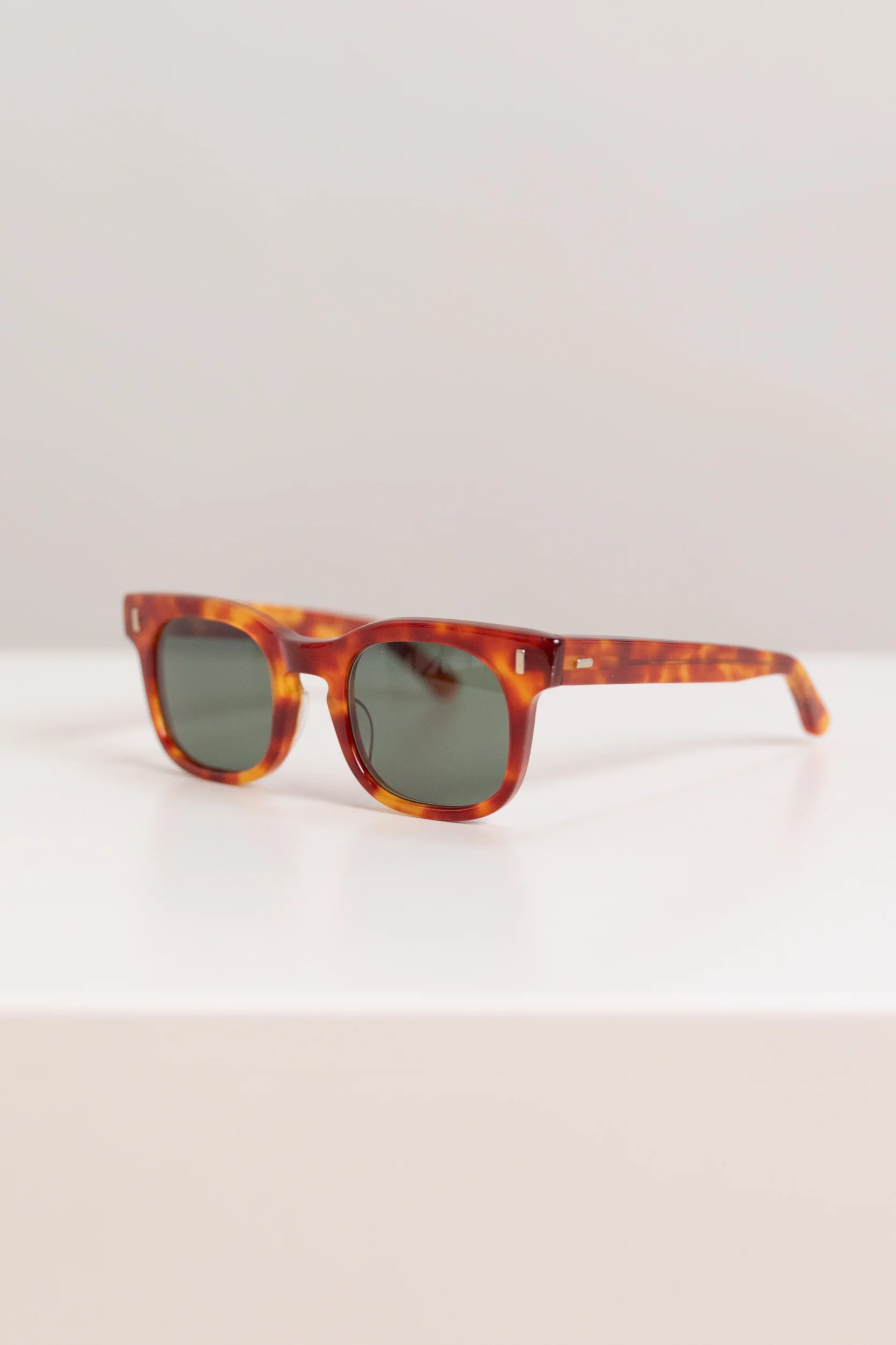 SUNY SUNGLASSES IN CANDY TORT - LARGE - Image 5