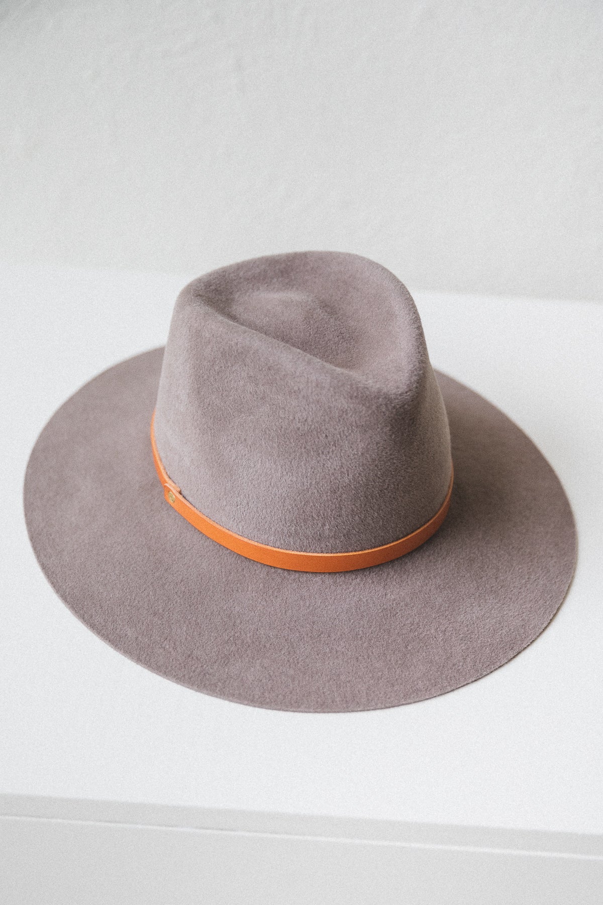 WAKEFIELD WITH LEATHER BAND IN VELOUR FELT - Image 4